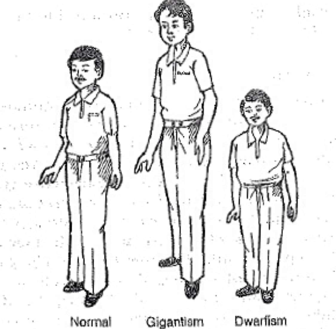 Wwe Wrestlers Height Chart