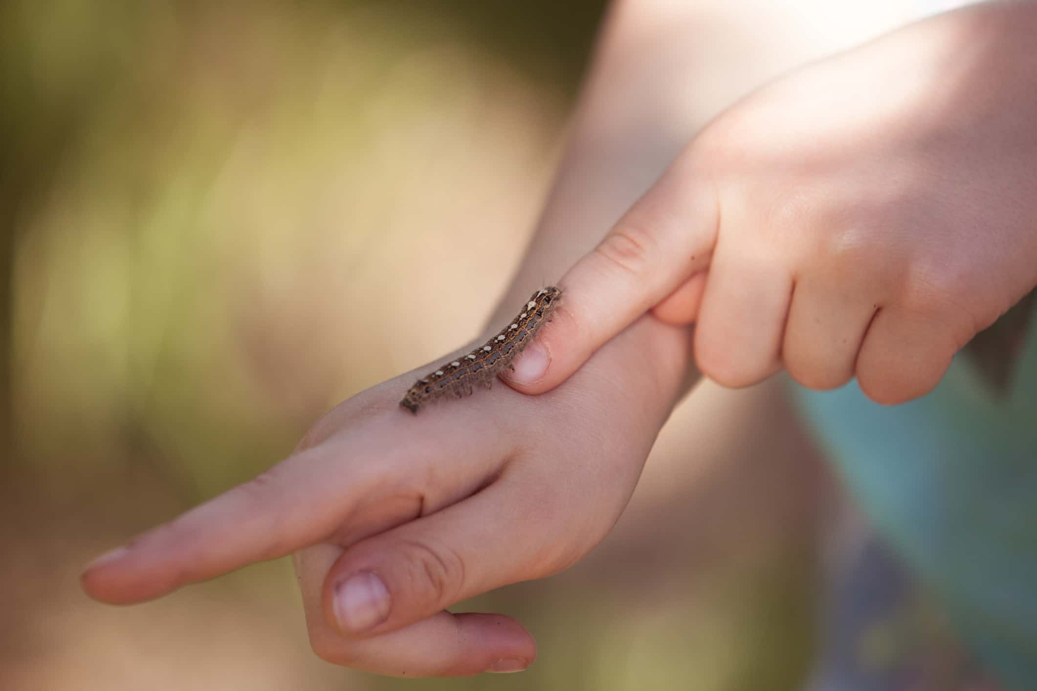 Caterpillar on child's hands