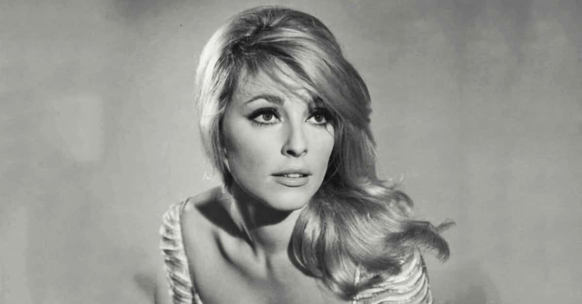 Image result for sharon tate images