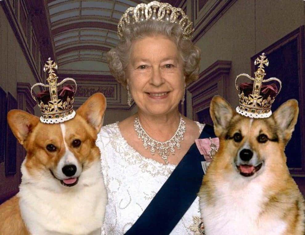 The British Royal Family Facts