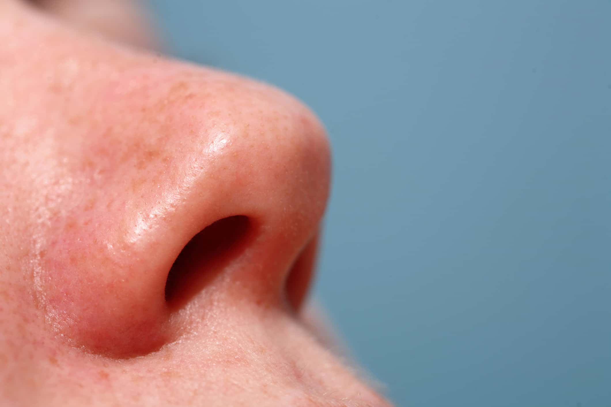 Female Nose, close-up.