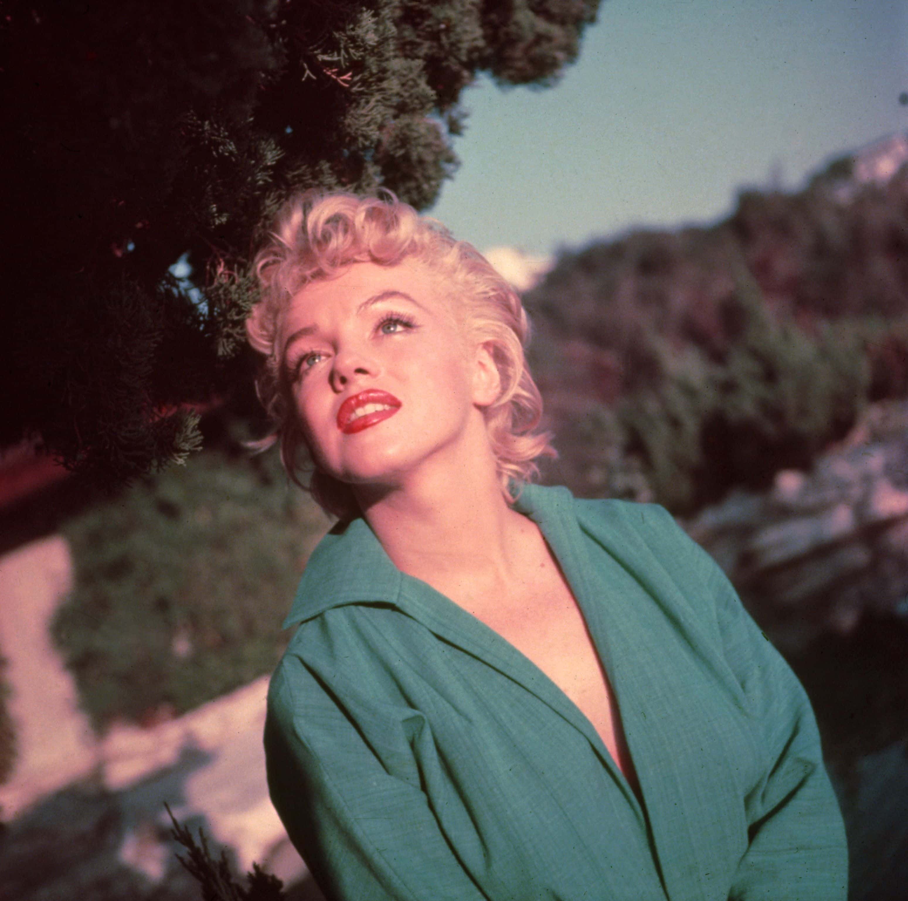 Marilyn Monroe, Headshot.
