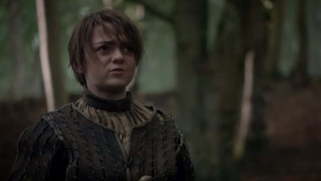 44 Fierce Facts About Arya Stark Factinate