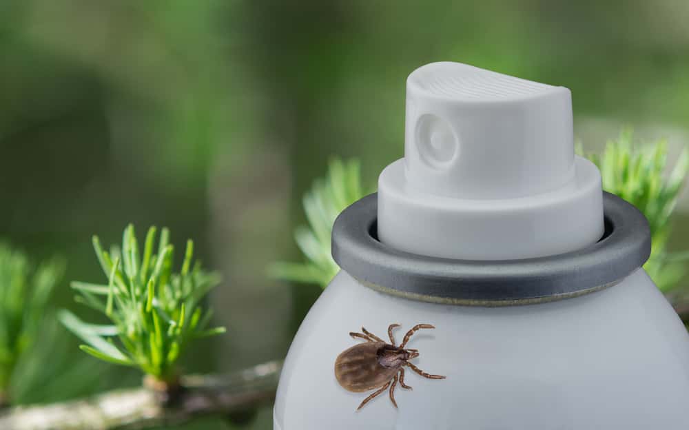 Dumbest Patient Facts