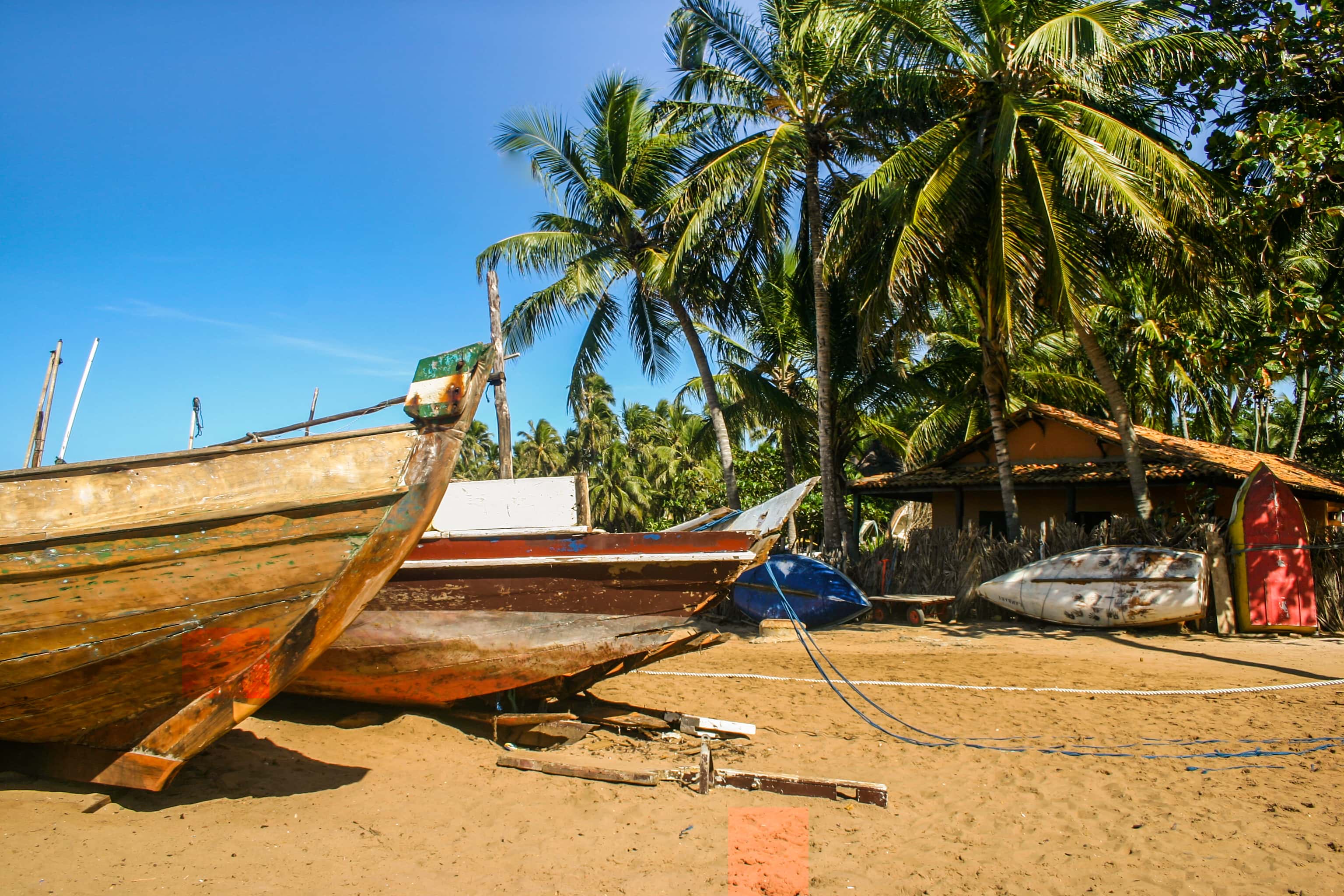 Imposing Facts About Sidney Poitier, The Hollywood Trailblazer