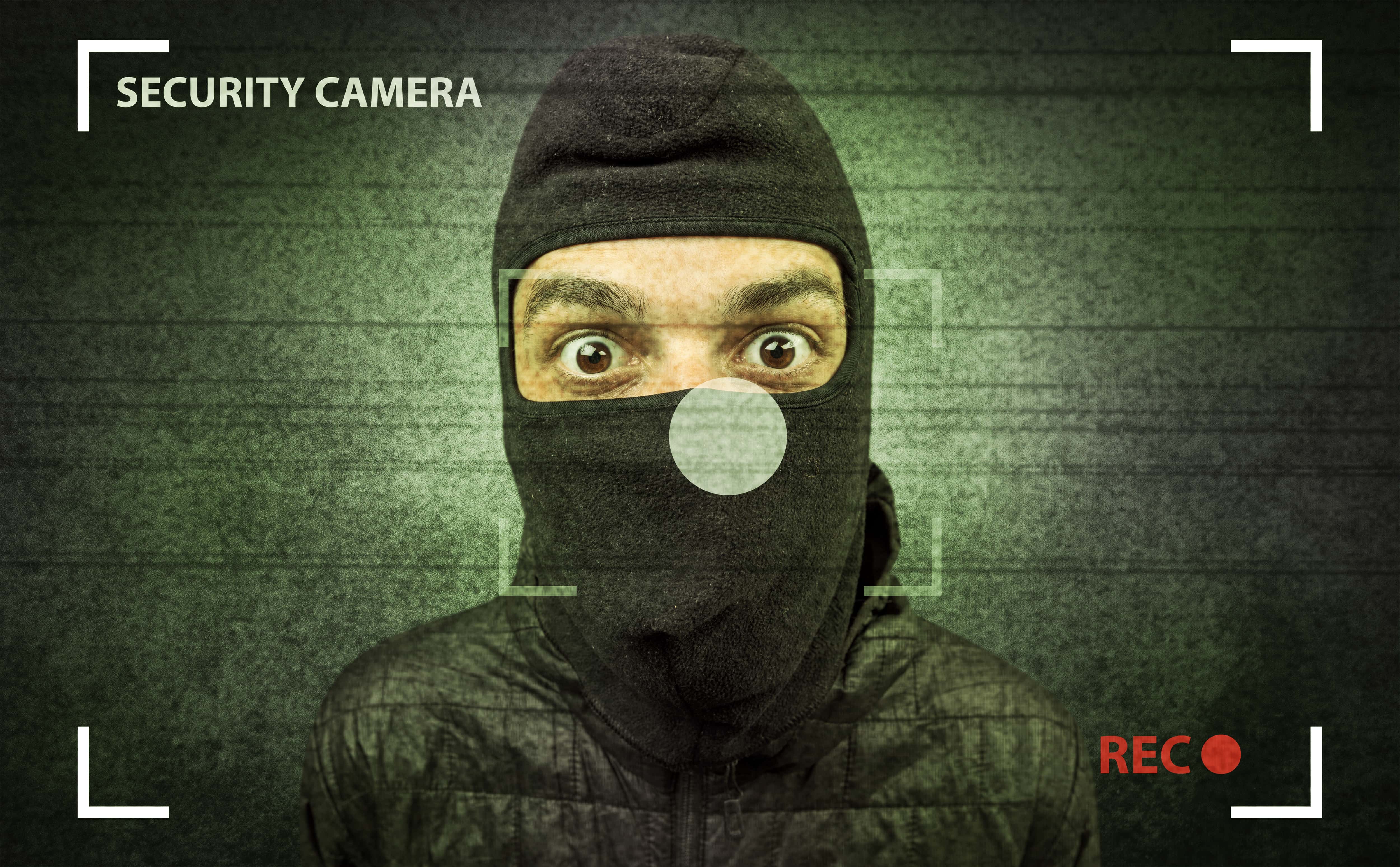 Caught on Home Security Cameras facts