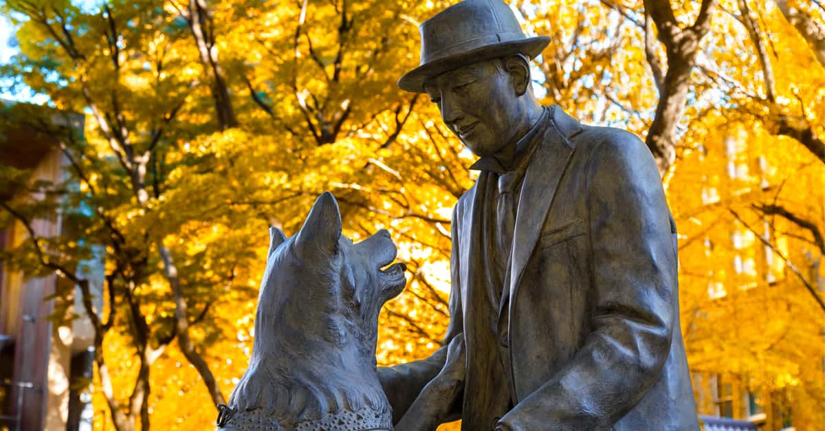 I Will Wait For You The Story Of Hachiko