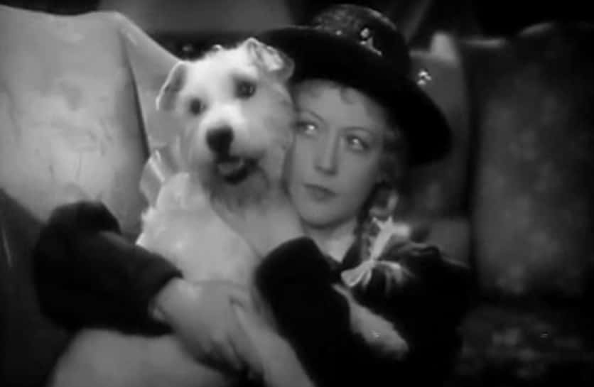 Marion Davies facts 