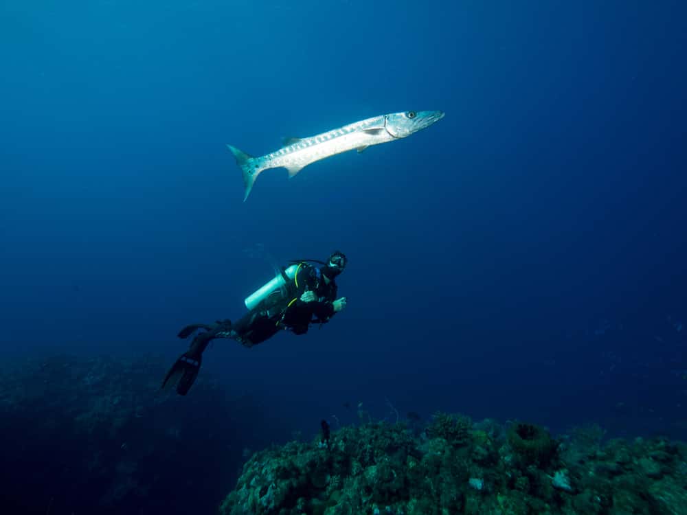 Underwater Diving Facts
