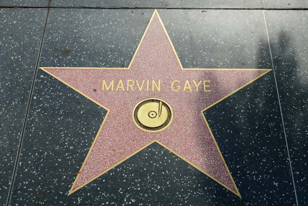 Marvin Gaye Facts