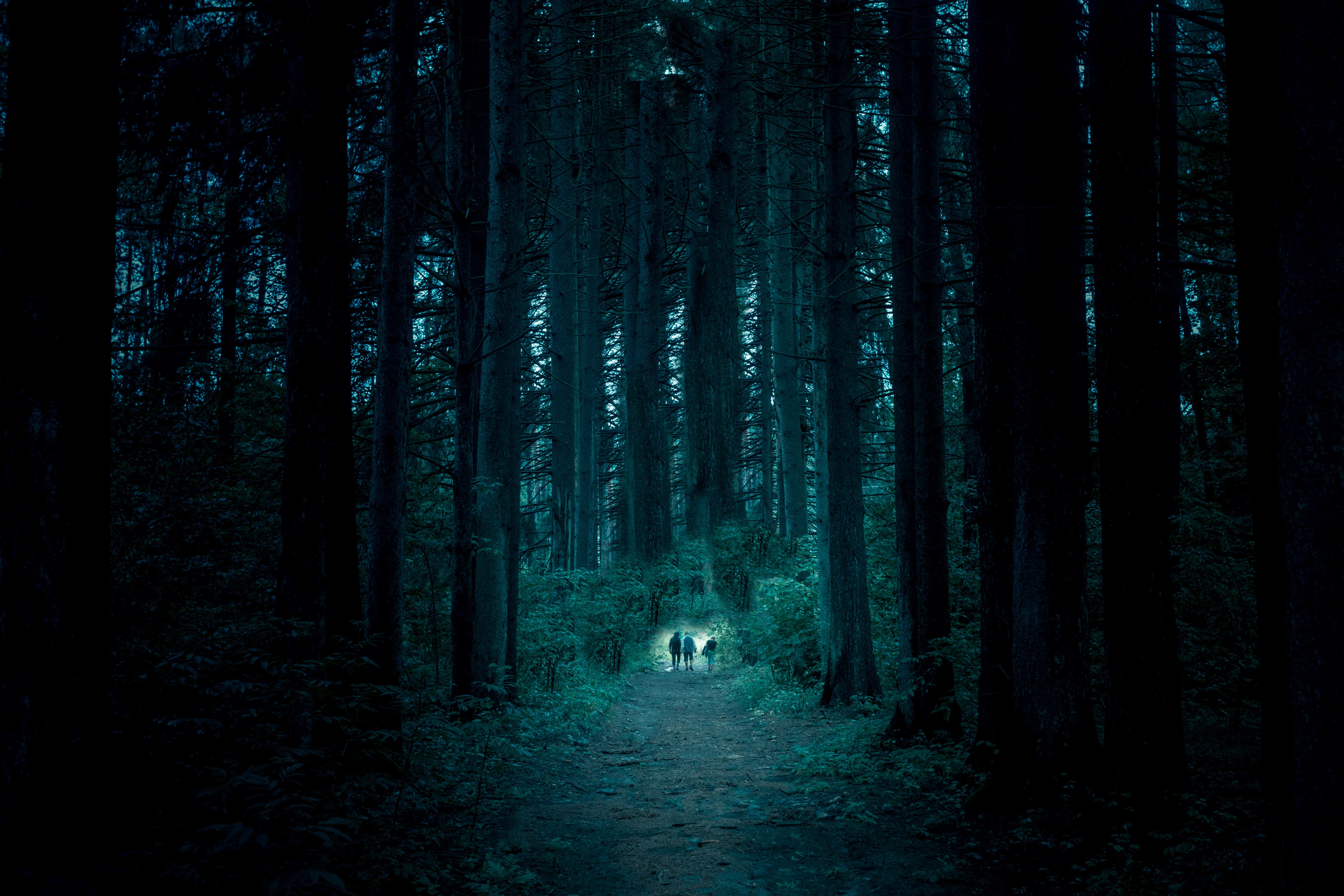 Stay Out Of The Woods Campers And Hikers Share Their Creepiest Experiences