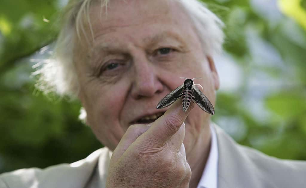 David Attenborough Facts