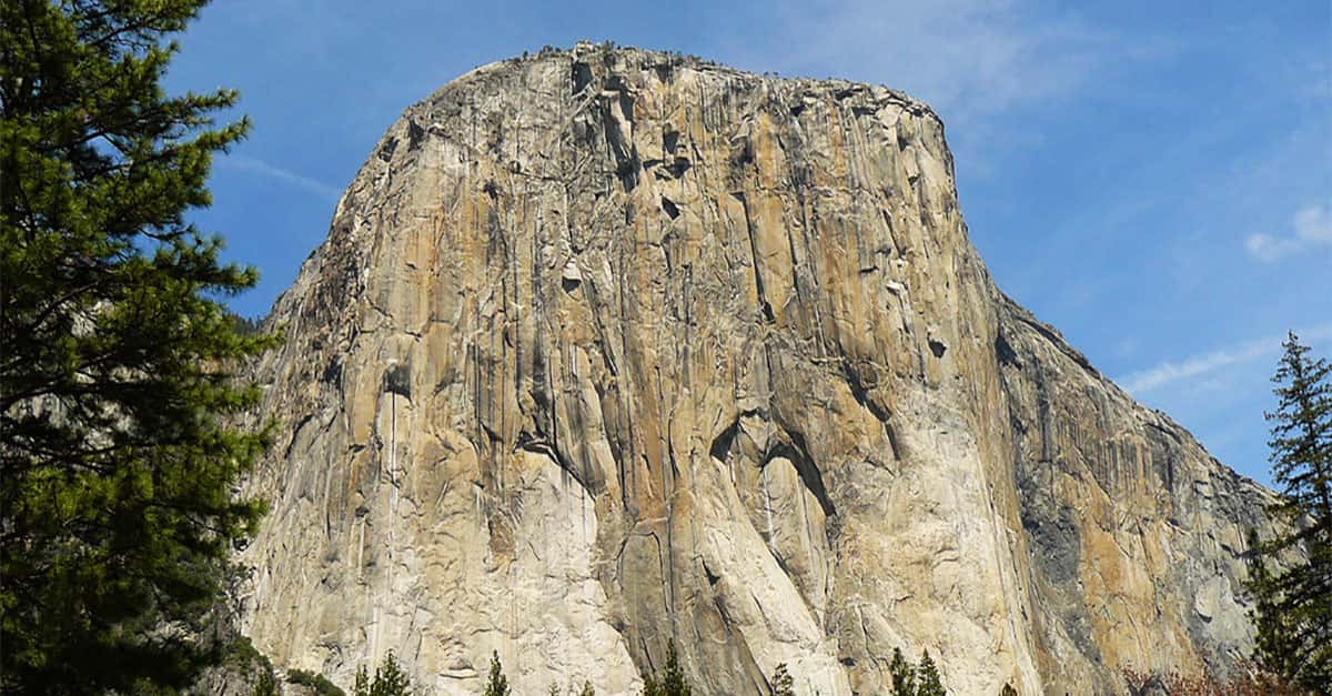 By Any Means Necessary Warren Harding And El Capitan