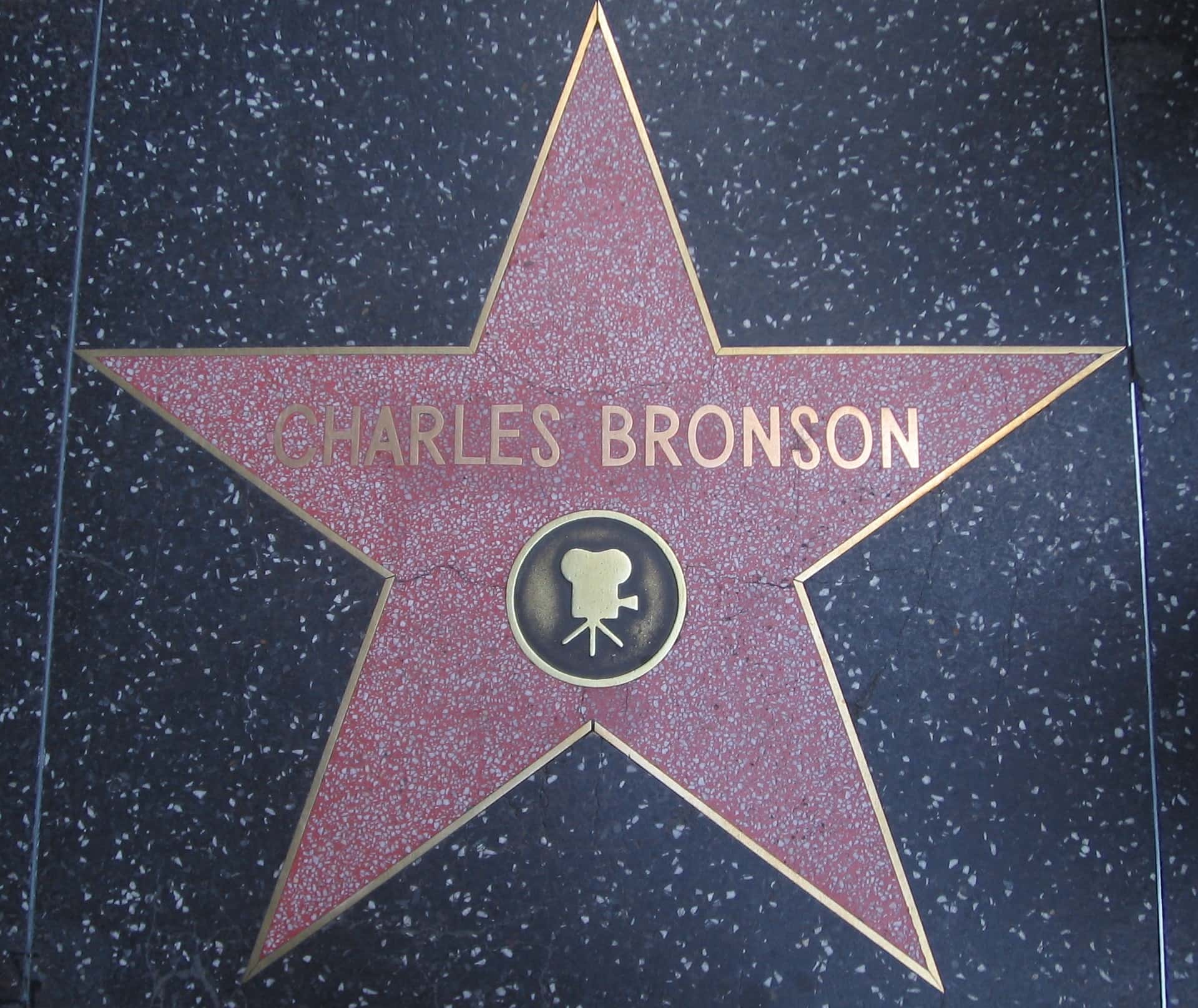 Charles Bronson Facts