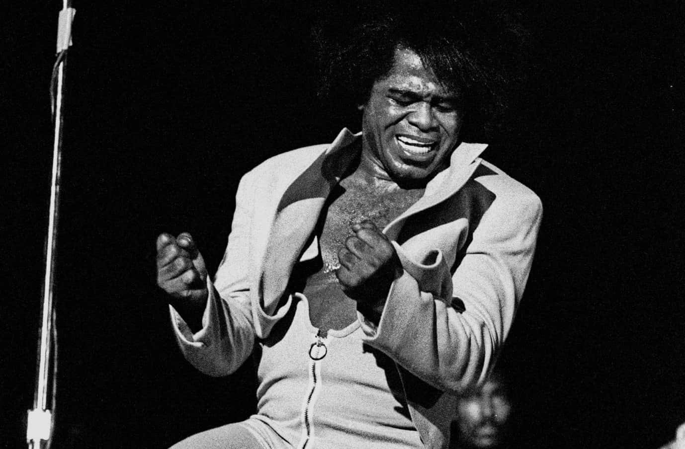 James Brown Facts 