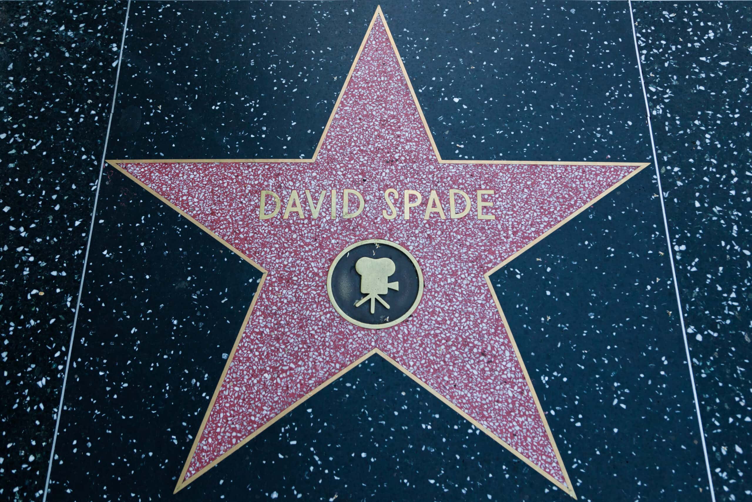 David Spade Facts