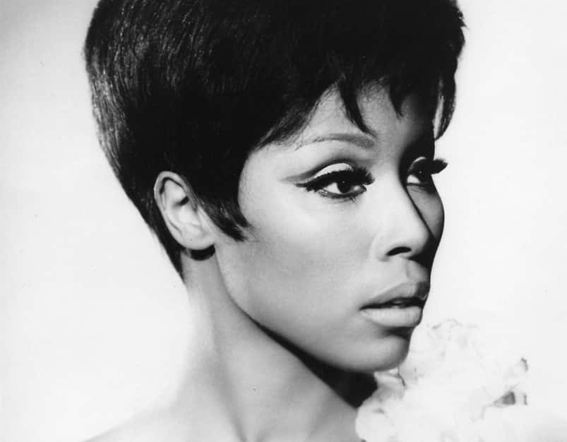 Devastating Facts About Diahann Carroll, The Barrier-Smashing Actress