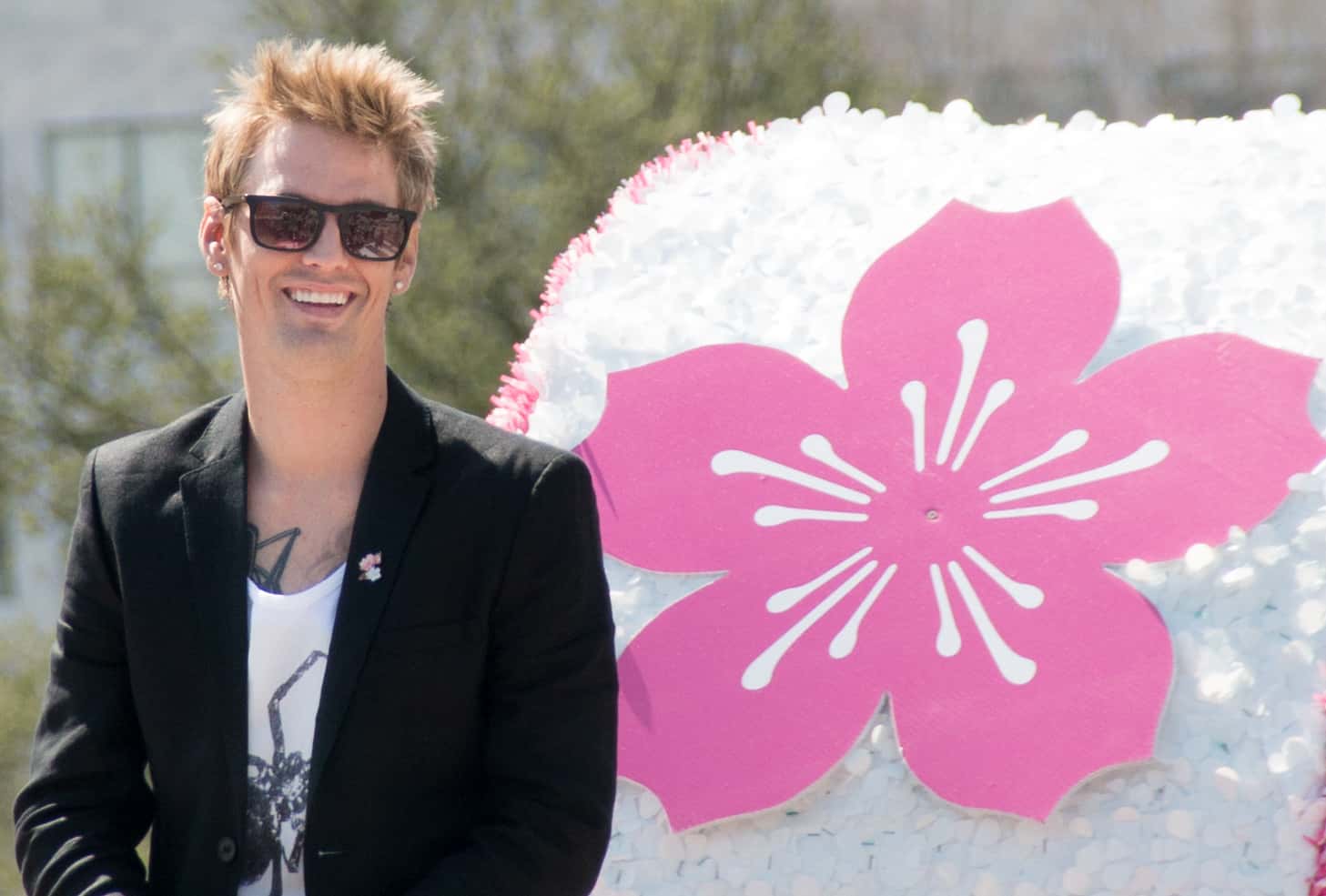 Explosive Facts About Aaron Carter, The Doomed Child Star
