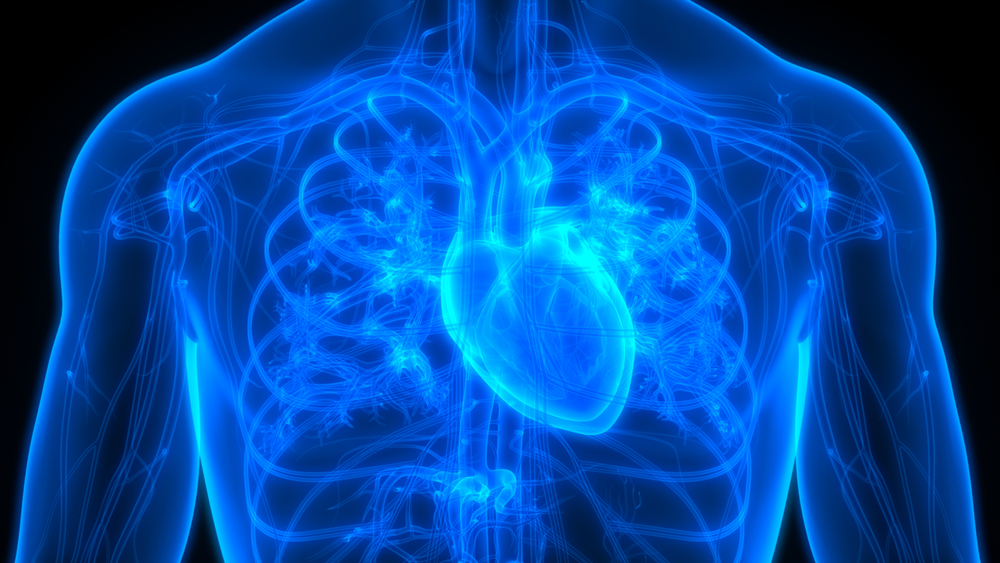 Takotsubo cardiomyopathy editorial