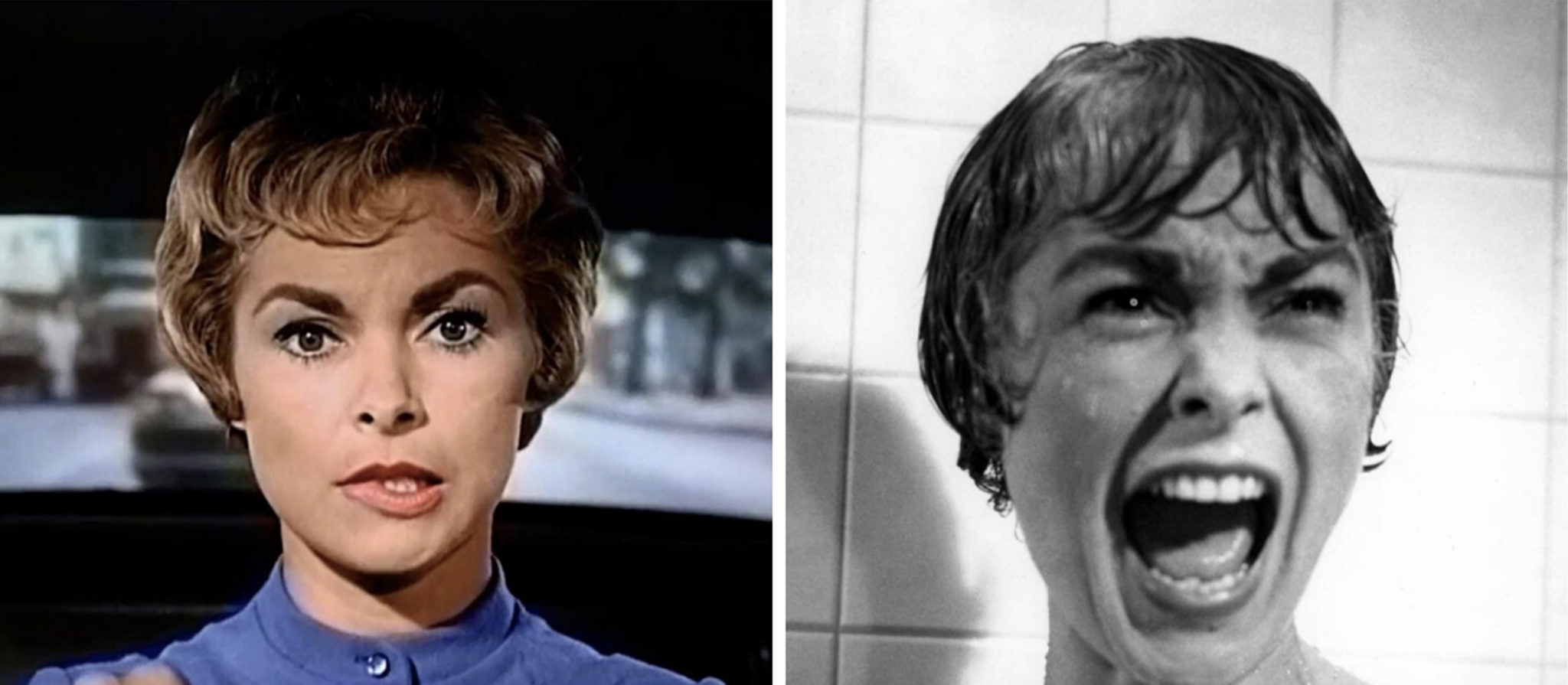 Glamorous Facts About Janet Leigh, The Original Scream Queen